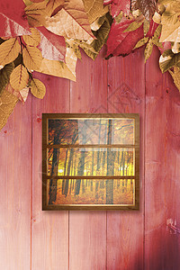 封闭玻璃窗复合图像合成图象组合成像橙子木头窗户长方形树叶反射数字窗框叶子正方形背景图片