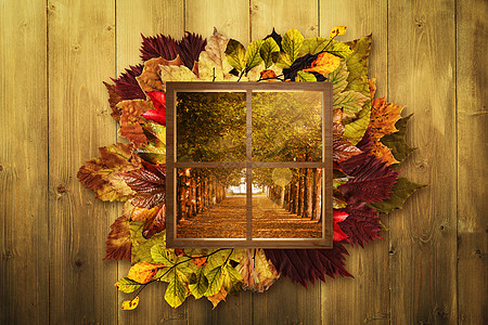 平方形状玻璃窗口的复合图像木板红色树叶绿色安全金子树木窗框网格叶子图片