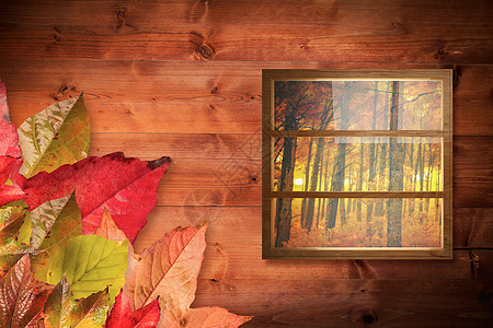 封闭玻璃窗复合图像合成图象组合成像木板窗户正方形环境橙子森林反射玻璃金子木头背景图片