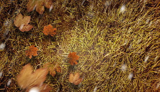 秋叶的复合图像图案橙子金子树叶红色背景图片