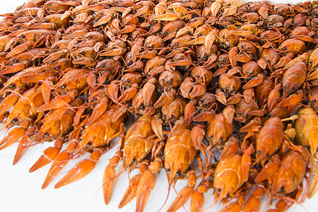 许多龙虾动物两栖红色癌症食物煮沸图片