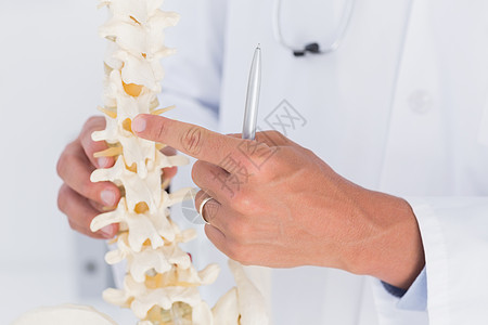 脊柱模型医生显示解剖脊椎骨科从业者诊断医学工作服人骨专业诊所手势服务背景