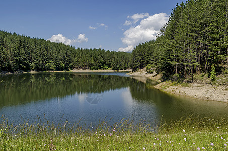巴兰蒂水坝绿色的自然高清图片