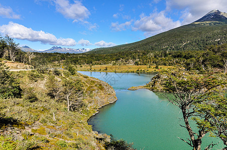 阿根廷乌斯怀亚乌斯怀亚州火地岛国家公园绿色森林植物旅行图片