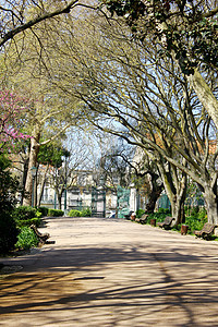 Estrela花园 葡萄牙里斯本城市森林旅行场景叶子蓝色公园风格天空风景图片