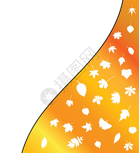 蕨类叶子橙色背景自然高清图片