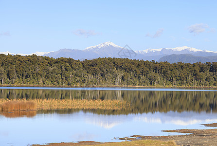 马希纳普亚湖 西海岸 新西兰反射地标森林公园天空晴天海岸池塘国家旅游图片