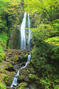 回顾瀑布 日本蓝色叶子森林公园旅游旅行岩石峡谷溪流图片