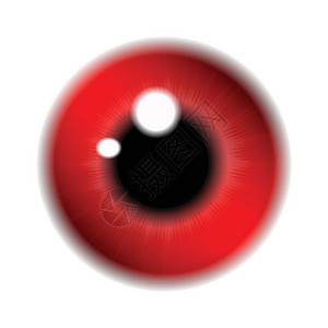 红眼睛 眼球 虹膜眼的图像 白色背景中孤立的现实矢量图解 (笑声)背景图片
