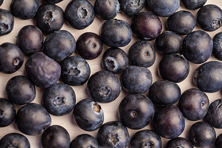 紧闭的新鲜蓝莓饮食生活方式水果烹饪抗氧化浆果背景图片