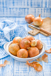 洋葱烹饪蔬菜盘子植物桌子美食营养药品木头杂货店图片