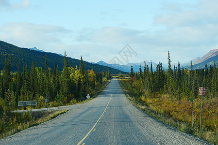 达顿高速公路运输小路风景碎石地区苔原森林爬坡场地松树图片