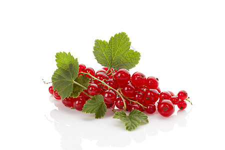 红色的弯曲美食植物叶子食物绿色宏观浆果水果季节性醋栗图片