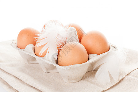 有机鸡蛋工作室早餐营养饮食食物水平家禽棕色盒子羽毛图片