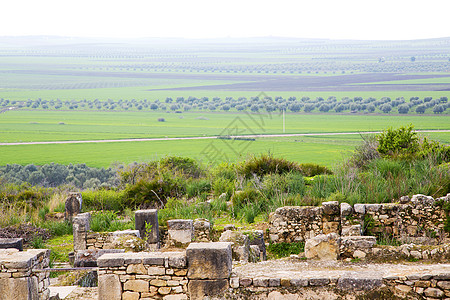 morocco 中的 volubilis图片