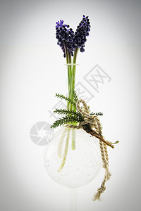 晶体花瓶中的紫色鲜花花束绿色脆弱性杯子白色礼物花朵玻璃水晶生活图片