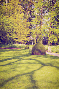 公园花园艺术长椅花瓣风格娱乐松树叶子植物学草地图片