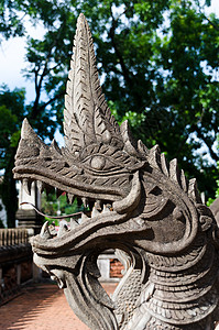神龙守护神旅行建筑学石头喇叭监护人怪物牙齿文化佛教徒地标背景图片