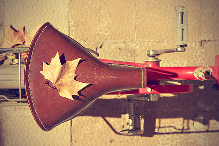 秋天来骑自行车白色古董运输街道摄影金属叶子绿色红色运动图片