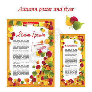 矢量 秋天海报和传单上都有多彩的叶子背景图片