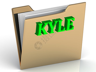 KYLE- 姓名和家庭金色亮信图片