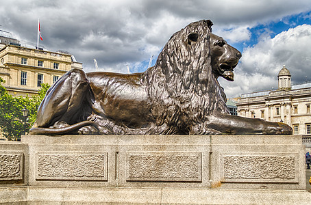 伦敦Trafalgar广场狮子雕像吸引力艺术正方形柱子天空首都旅游水池建筑学历史性图片