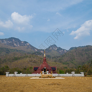 苏南塔瓦拉拉姆寺的红褐塔森林冥想宗教寺庙信仰公园旅行佛塔图片