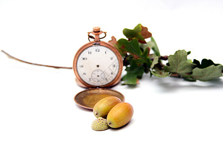 秋天在交汇树叶橡树种子食物棕色时钟怀表作品概念时间图片