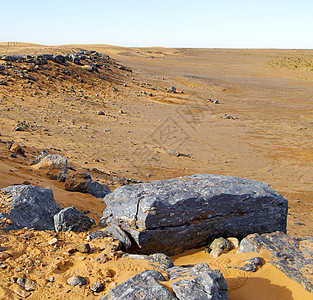 在摩洛科沙哈拉和岩石石的沙漠中的古老灌木化石矿物化石沙丘衬套自然干旱土地碎石螺旋科学图片