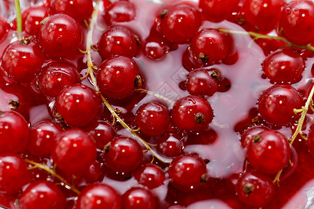 红色当前红水果维生素营养叶子收成甜点浆果植物美食辉光图片