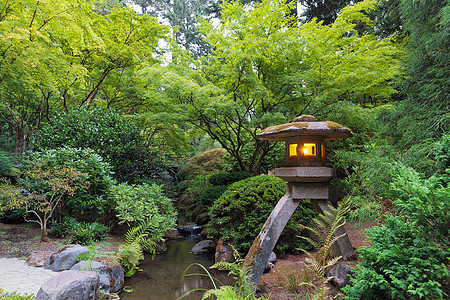 日本花园的石灯侠旅游风景蕨类植物公园岩石溪流苔藓灯笼树木图片