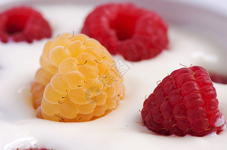 美味的酸奶和新鲜果子早餐营养生物国家浆果美食食物餐饮乡村高架盘子图片