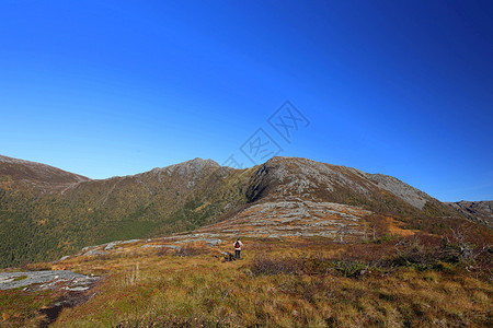 霍斯特 Hst山地山地车主播远足装饰颜色图片