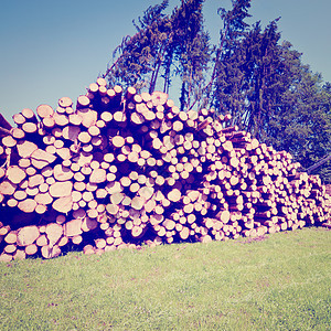 伐木贮存樵夫光束针叶造林柴堆木材天空资源日志图片