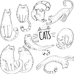 猫收藏折叠卡通片绘画乐趣快乐动物剪贴插图小猫动画片图片