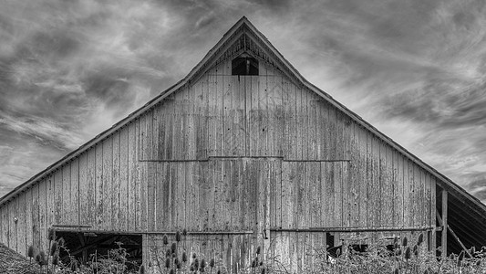 废弃的仓库 黑白图像农业建筑建筑学农场木头国家农家古董天空土地图片