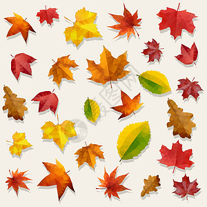 黄橙红色飞行秋季叶子矢量背景图片