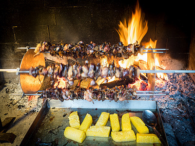 鸟儿吐口水 慢慢烹饪到火焰的热点食物文化打猎金属盘子智者牛肉熏肉黑鸟雀科图片