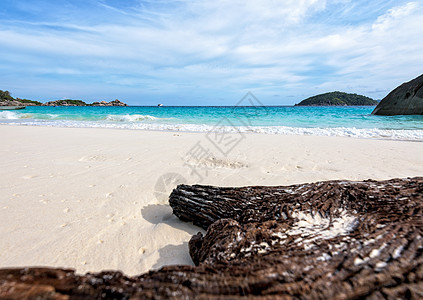 泰国岛屿海滩上的老旧漂浮木头木材日志旅行蓝色天空支撑海洋漂移假期风景图片