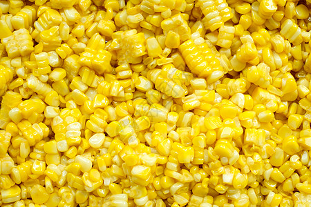 用黄油切片玉米背景图片
