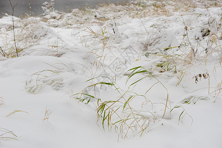 第一次下雪后就降了下来天气荒野场地季节暴风雪场景风景冻结雪花橙子背景图片
