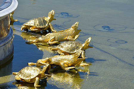 装饰喷泉中的金龟背景图片