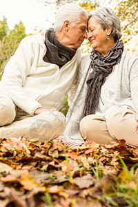 公园里的老夫妇环境男人围巾微笑树叶农村退休头发白色女性图片