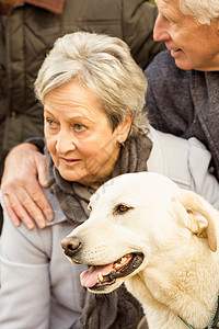 和狗在公园的老夫妇退休老年绿色夫妻闲暇绿地衣物女士环境女性图片
