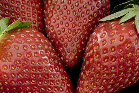 熟熟的红草莓图片
