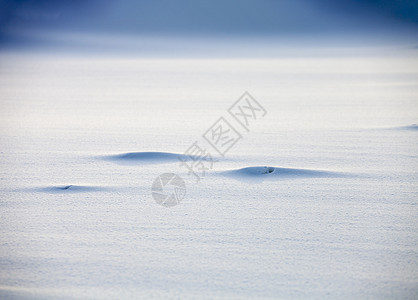 平滑雪背景图片