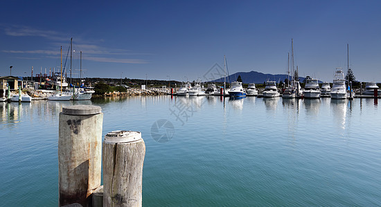 Bermagui 海港图片