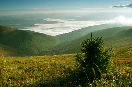 山高地貌喀尔巴阡山 乌克兰葡萄园小路地标地平线云杉草地日落全景天空彩虹图片