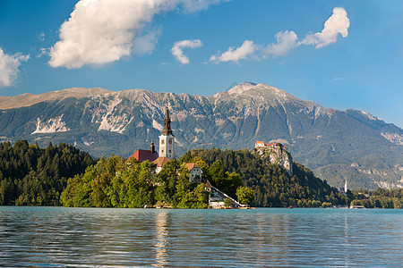 在阳光明媚的一天 斯洛文尼亚Lake Bled 岛上的Bled岛图片