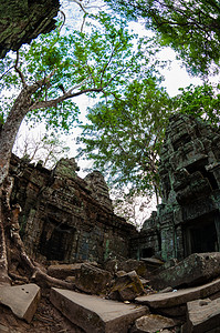 树木和从塔普罗姆下造出的寺庙热带建筑纪念碑雕塑旅游丛林废墟岩石石头文化图片